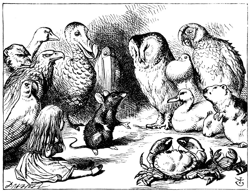 Original children's illustration by John Tenniel of dry story from Alice in Wonderland 