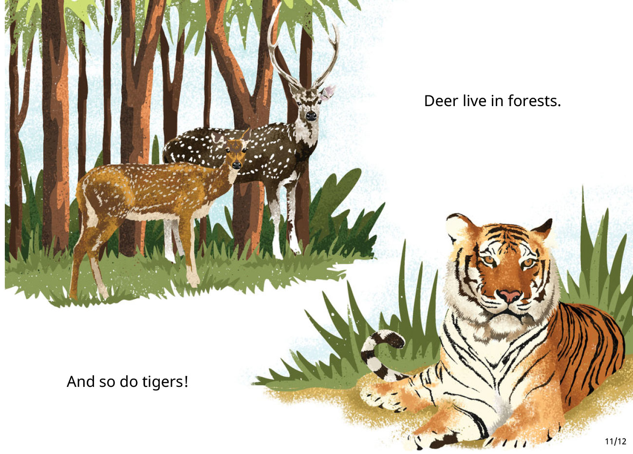 Bedtime Stories Animal Homes Free Books Online page 11