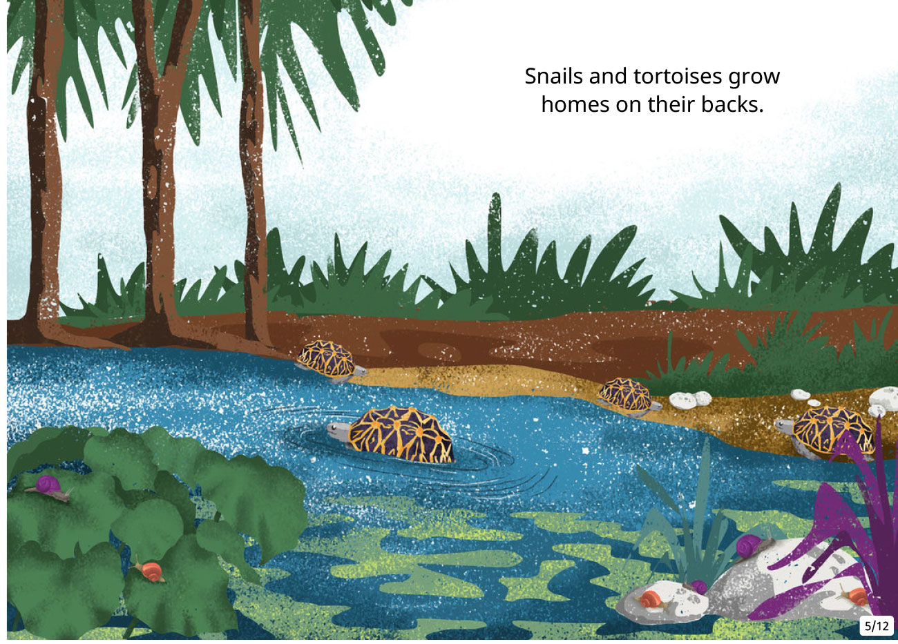 Bedtime Stories Animal Homes Free Books Online page 5