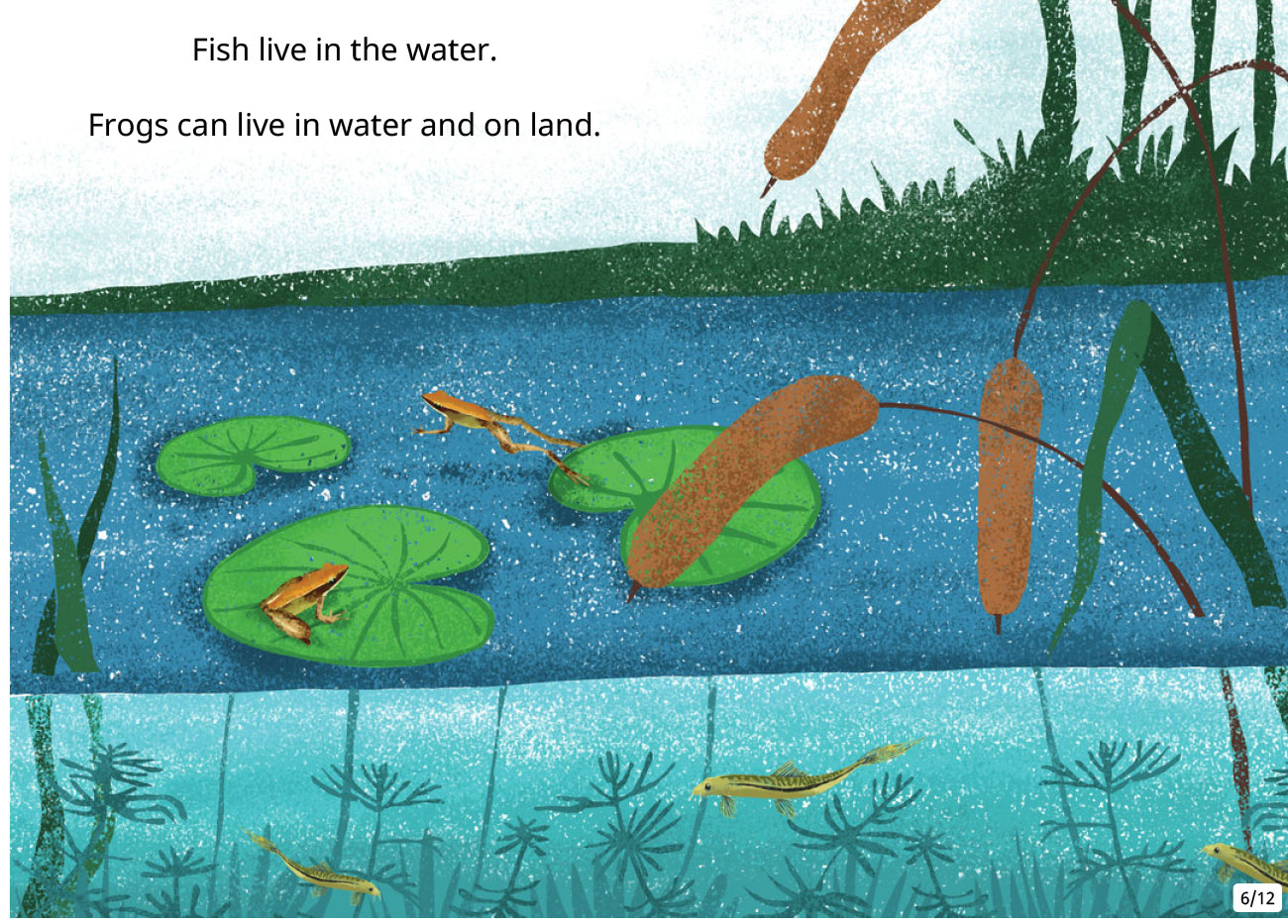 Bedtime Stories Animal Homes Free Books Online page 6