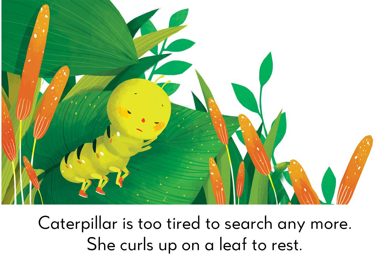 bedtime stories caterpillar looks for a shoe kids tales page 10