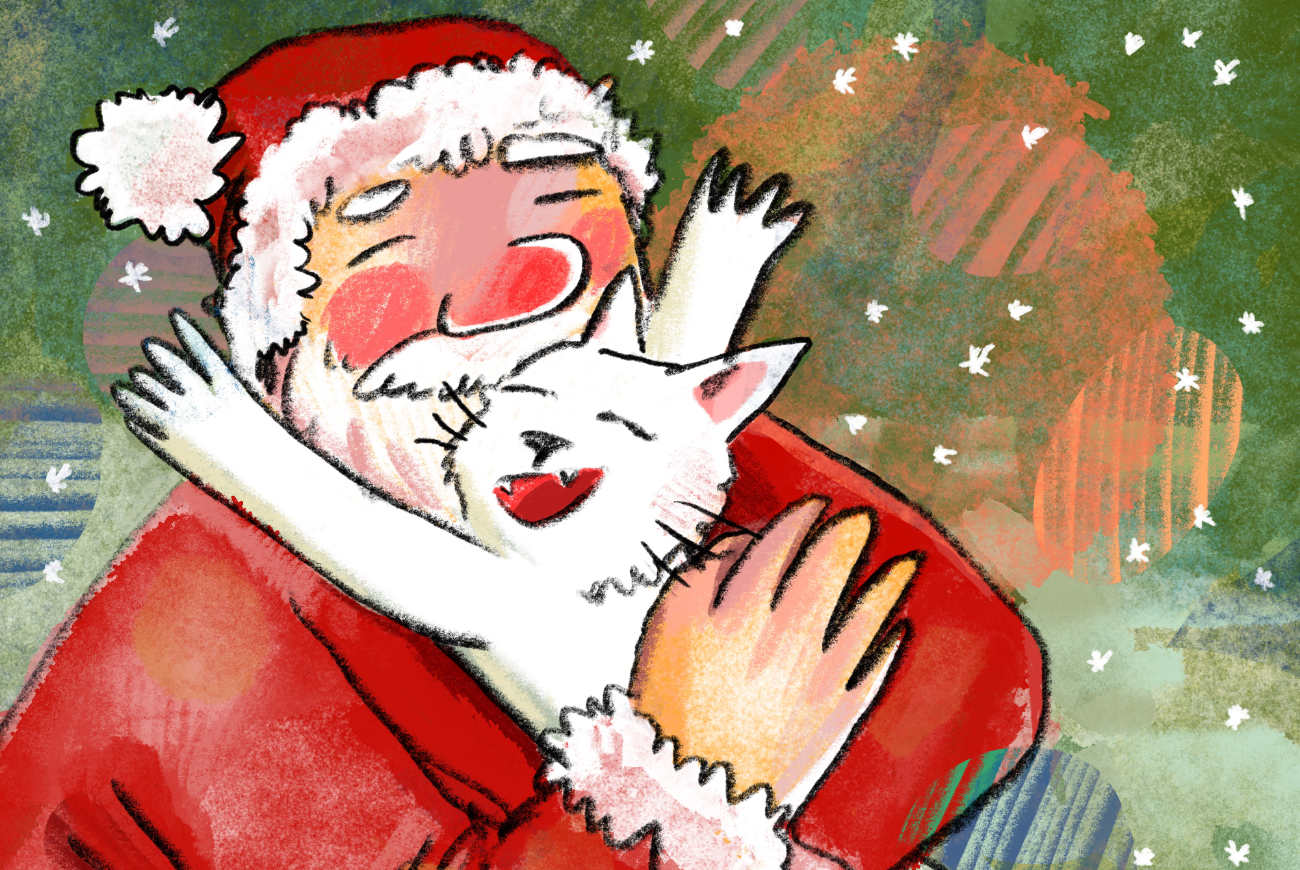 Bedtime Stories Where is Santas Cat christmas stories for kids header