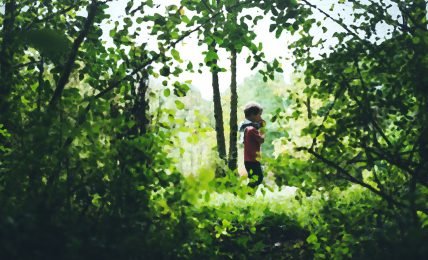 Short stories for kids - An Autumn Walk - illustration of boy in forest surrounded by leaves