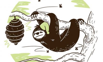 Sleepy Mr Sloth short stories for kids header illustration