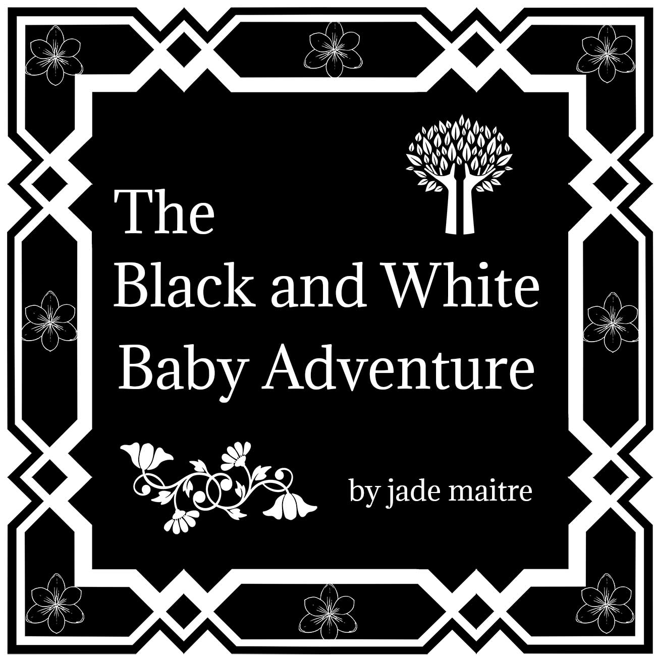 The Black and White Baby Book - Adventure cover