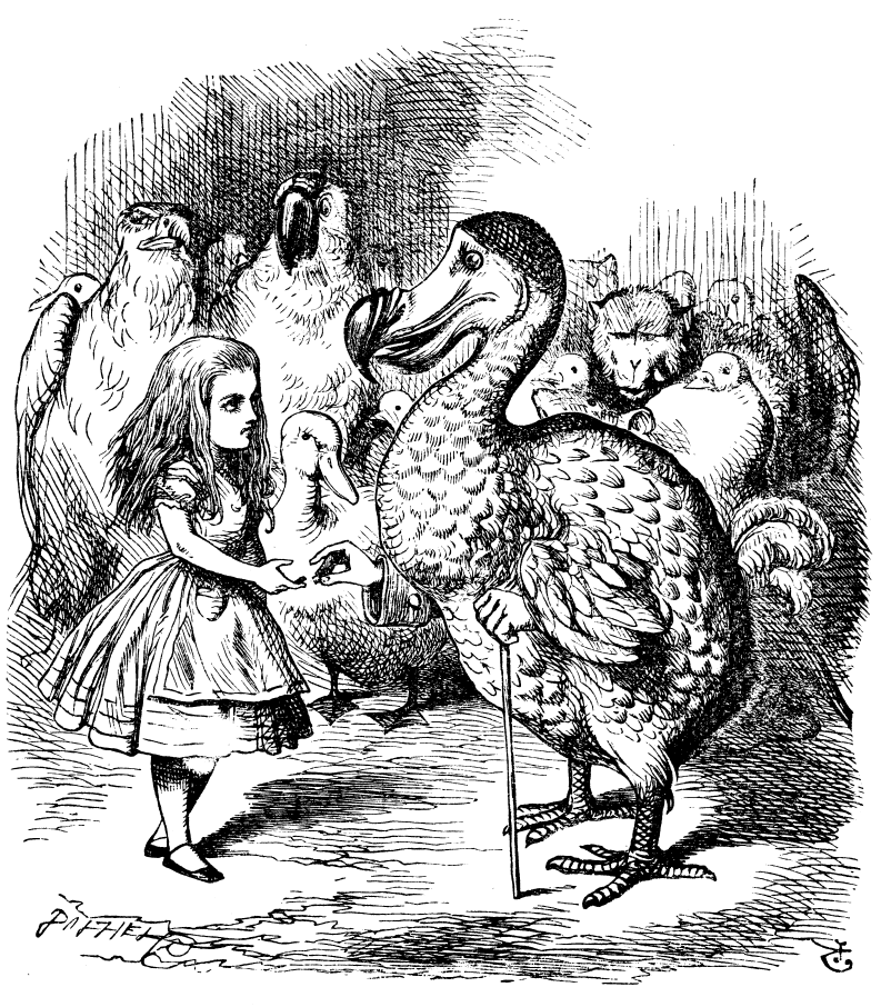 Original children's illustration by John Tenniel of Caucus Race from Alice in Wonderland 